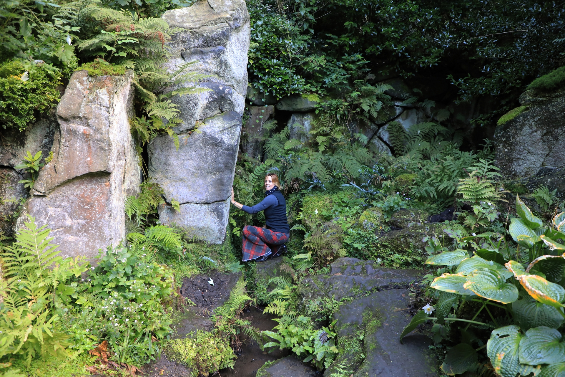Celtic Glen - Biddulph Grange